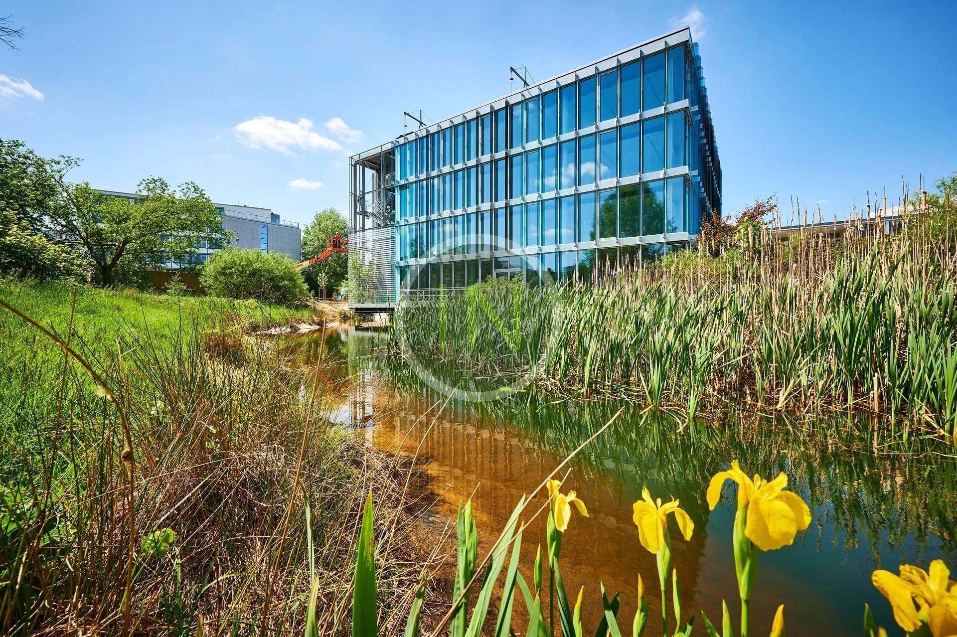 Office in Luxembourg, photo 5