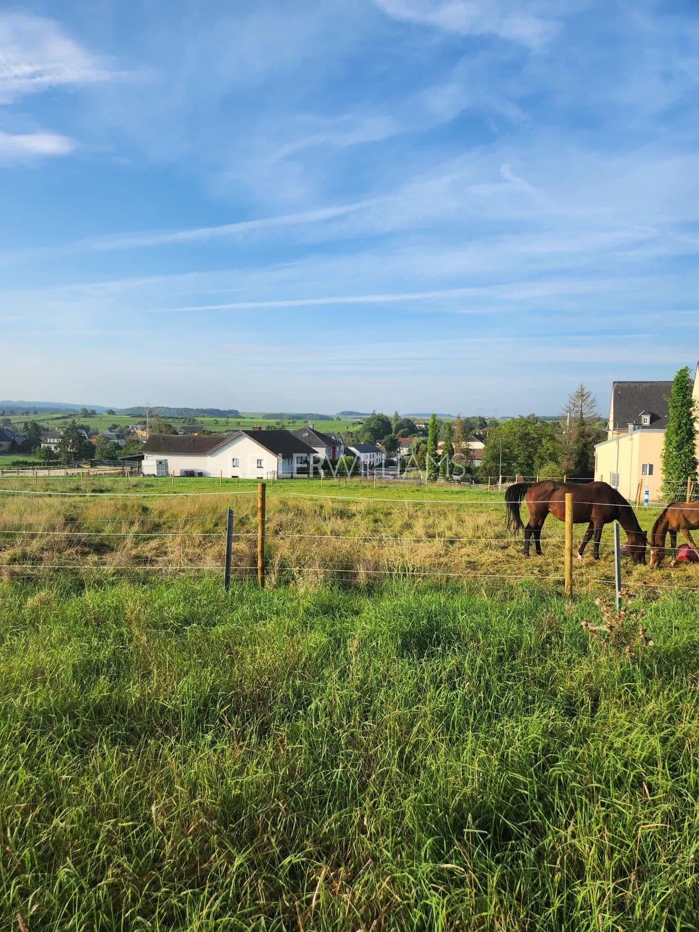 Land in Waldbillig, photo 4